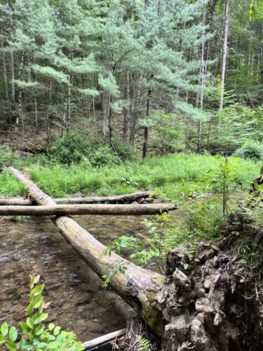 More than a state park: Family memories at Hyner Run